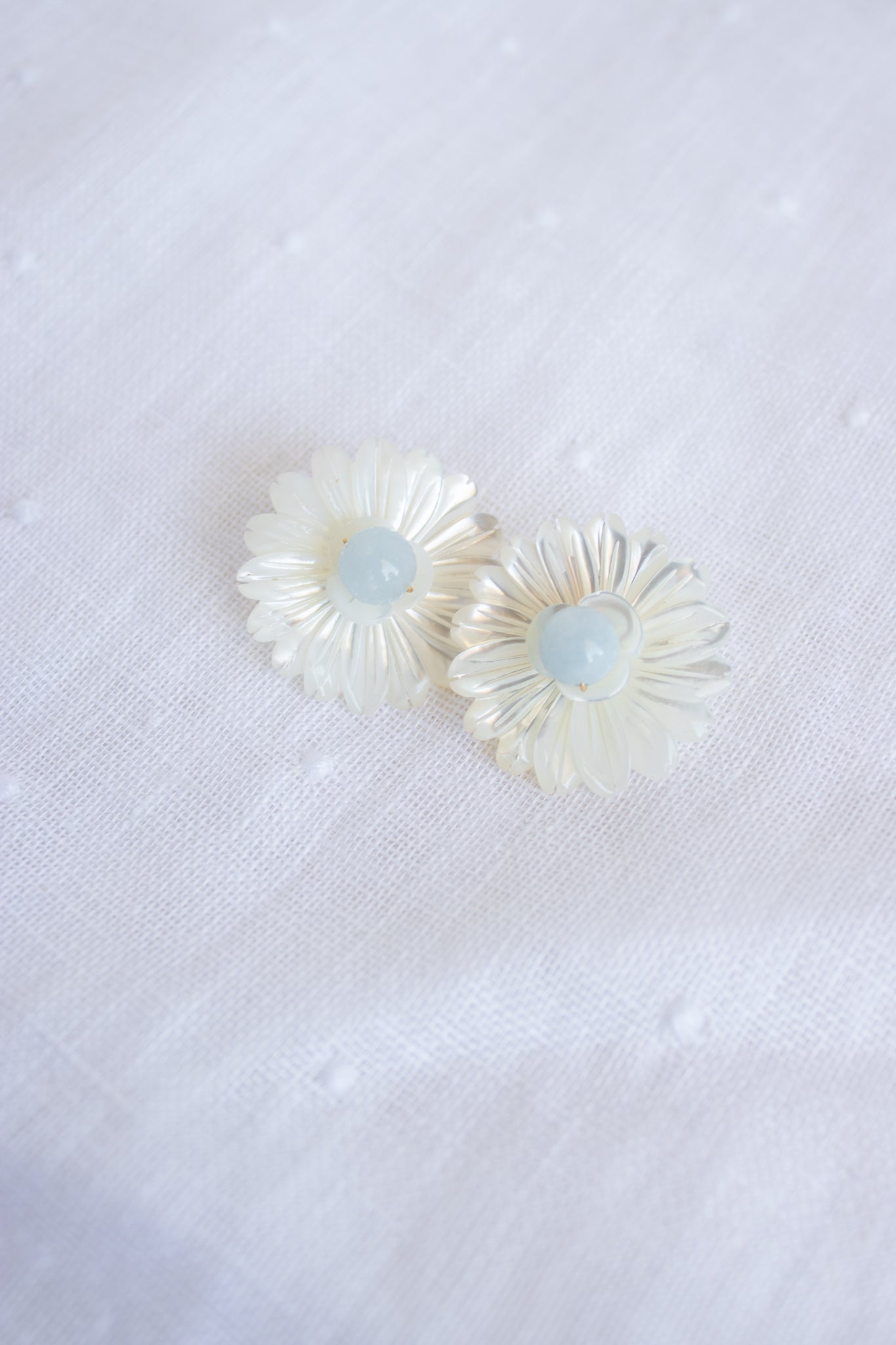 Flower Shell Design XV