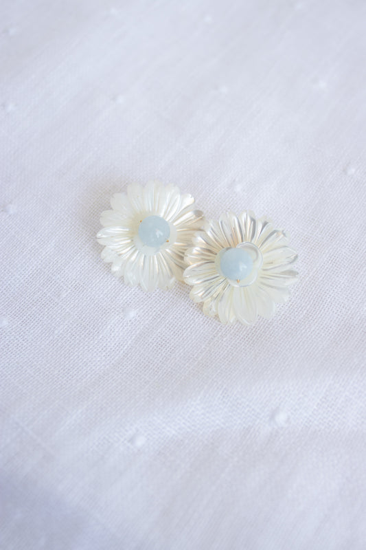 Flower Shell Design XV